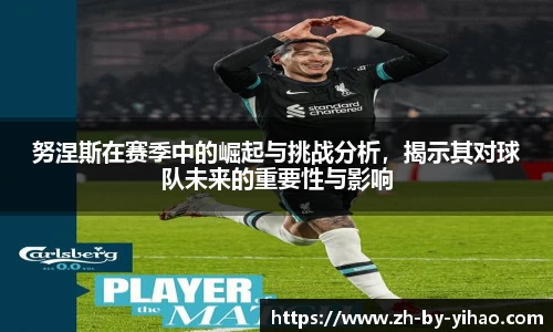 努涅斯在赛季中的崛起与挑战分析，揭示其对球队未来的重要性与影响