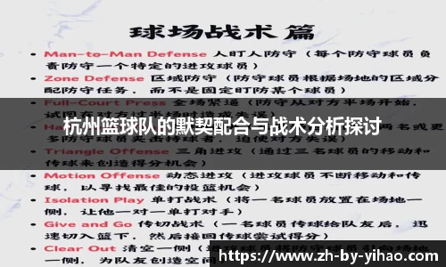杭州篮球队的默契配合与战术分析探讨